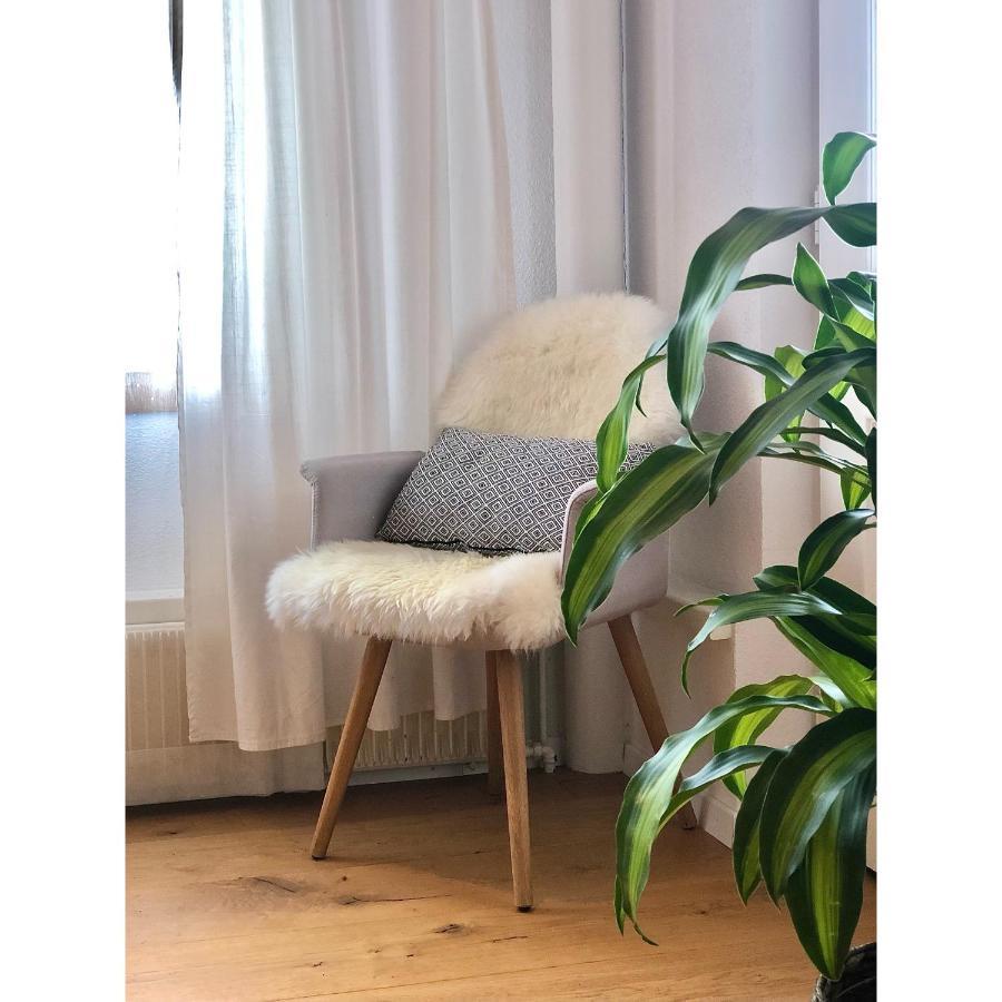 Cozy & Warm Apartment In Oberaegeri Zewnętrze zdjęcie