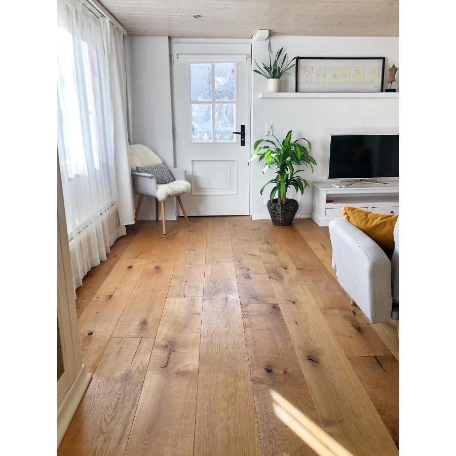 Cozy & Warm Apartment In Oberaegeri Zewnętrze zdjęcie